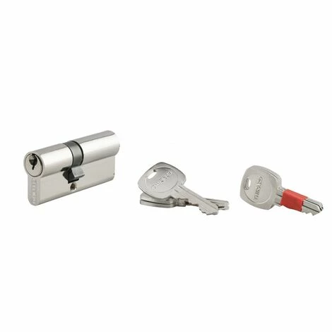 THIRARD - Cylindre De Serrure Double Entrée Clé Modifiable, 30x40mm, Anti-arrachement, Anti-perçage, Nickel, 2x3 Clés 3 THIRARD - Cylindre De Serrure Double Entrée Clé Modifiable, 30x40mm, Anti-arrachement, Anti-perçage, Nickel, 2x3 Clés