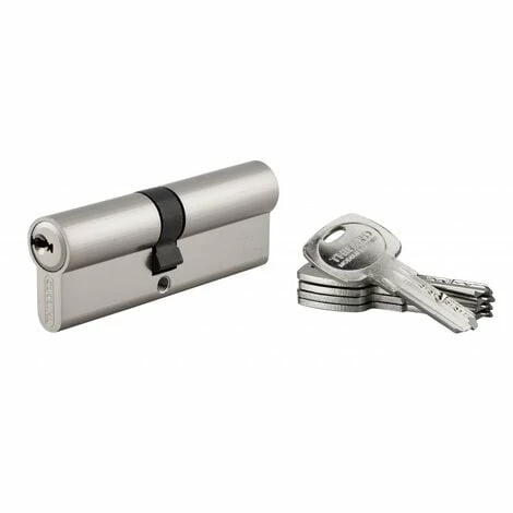 THIRARD - Cylindre De Serrure Double Entrée Trafic 6, 40x45mm, Nickel, Anti-arrachement, Anti-perçage, 5 Clés 3 THIRARD - Cylindre De Serrure Double Entrée Trafic 6, 40x45mm, Nickel, Anti-arrachement, Anti-perçage, 5 Clés