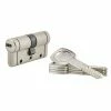 THIRARD - Cylindre De Serrure Trafic 12, 30x30mm, Nickel, Anti-arrachement, Anti-perçage, Anti-casse, 5 Clés -THIRARD Soldes 8904825 1