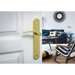 THIRARD - Ensemble De Poignées Pour Porte Intérieure Dionysos Sans Trou, Carré 7mm, Entr'axes 195mm, Laitonné -THIRARD Soldes 8904966 2