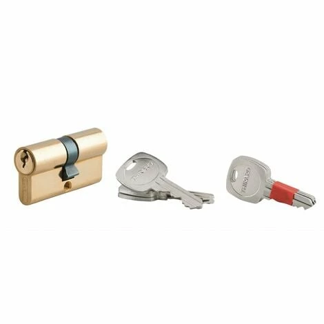 THIRARD - Cylindre De Serrure Double Entrée Clé Modifiable, 30x30mm, Anti-arrachement, Anti-perçage, Laiton, 2x3 Clés 3 THIRARD - Cylindre De Serrure Double Entrée Clé Modifiable, 30x30mm, Anti-arrachement, Anti-perçage, Laiton, 2x3 Clés