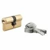THIRARD - Cylindre De Serrure Double Entrée Trafic 6, 30x30mm, Anti-arrachement, Anti-perçage, Laiton, 5 Clés -THIRARD Soldes 8945591 1
