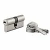 THIRARD - Cylindre De Serrure Double Entrée Trafic 6, 30x30mm, Nickel, Anti-arrachement, Anti-perçage, Panneton Réduit, 5 Clés -THIRARD Soldes 8945606 1