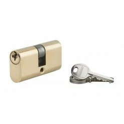 THIRARD - Cylindre De Serrure Double Entrée Ovale, 28x28mm, Laiton, Anti-arrachement, 3 Clés