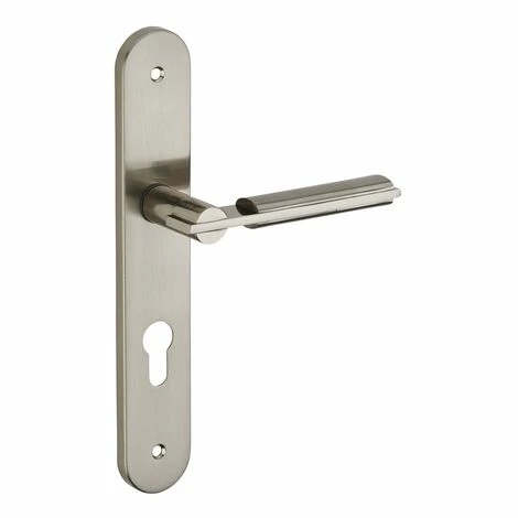 THIRARD - Ensemble De Poignées Pour Porte D'entrée Gaia Trou De Cylindre, Carré 7mm, Entr'axes 195mm, Nickelé Brossé 3 THIRARD - Ensemble De Poignées Pour Porte D'entrée Gaia Trou De Cylindre, Carré 7mm, Entr'axes 195mm, Nickelé Brossé