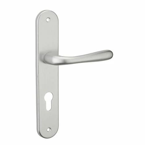 THIRARD - Ensemble De Poignées Pour Porte D'entrée Pelope Trou De Cylindre, Carré 7mm, Entr'axes 195mm, Argent 3 THIRARD - Ensemble De Poignées Pour Porte D'entrée Pelope Trou De Cylindre, Carré 7mm, Entr'axes 195mm, Argent