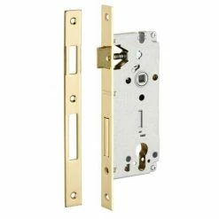 THIRARD - Boitier De Serrure Encastrable à Cylindre Pour Porte D'entrée, Axe 45mm, Bouts Carrés, Têtière Laitonnée