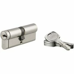 Cylindre De Haute Sécurité Transit 2 Thirard - Dimension 40 X 40 Mm