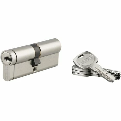 Cylindre De Haute Sécurité Transit 2 Thirard - Dimension 40 X 40 Mm 3 Cylindre De Haute Sécurité Transit 2 Thirard - Dimension 40 X 40 Mm